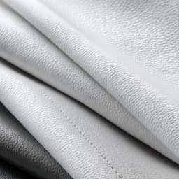 Aesthete VIP Membership