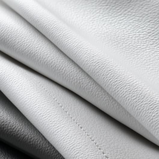 Aesthete VIP Membership